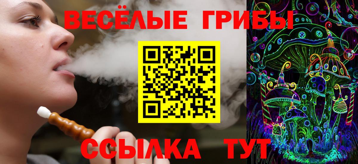 Клинцы  купить закладку  Галлюциногенные грибы прущие грибы  Вход с VPN  Галлюциногенные грибы GOLDEN TEACHER 